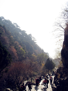 五岳之尊泰山壮丽景观