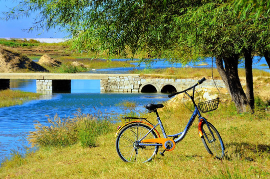 河边草地上的自行车