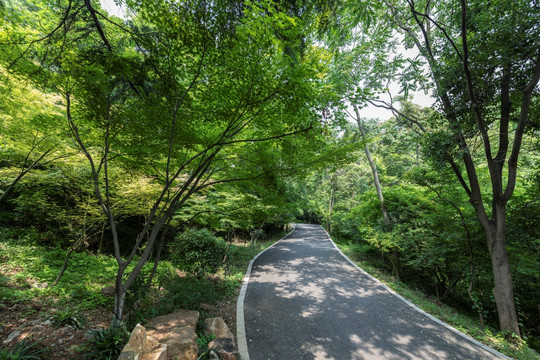 栖霞山风光