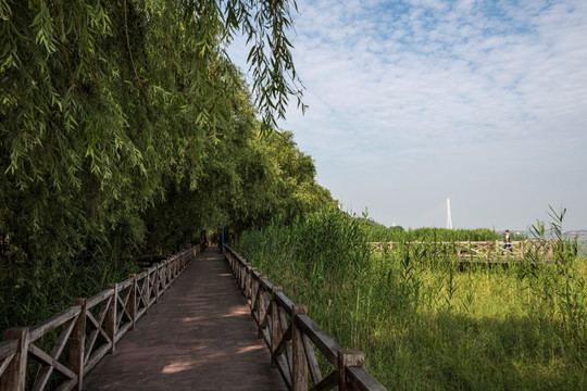 南京鱼嘴湿地公园风光