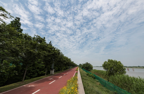 南京鱼嘴湿地公园风光