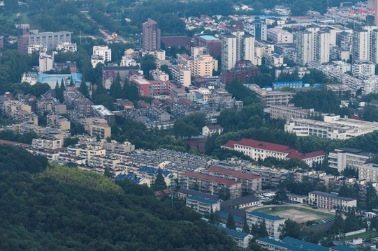 紫金山上看南京