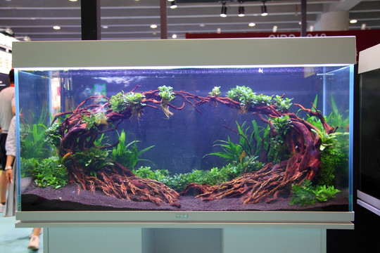 魚(yú)缸造景