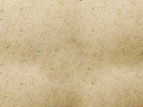 宣紙紋理
