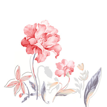 淡雅2