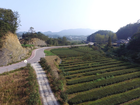 航拍乡村公路田野