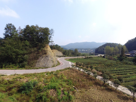 航拍乡村公路田野