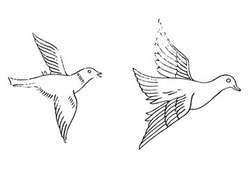 鳥紋