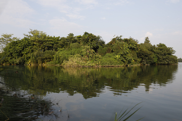 海珠湖