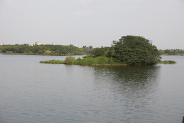 海珠湖湿地公园