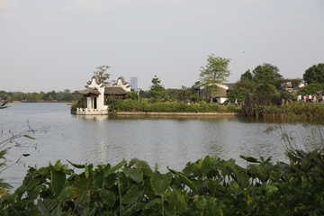 海珠湖湿地公园