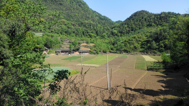 山里人家