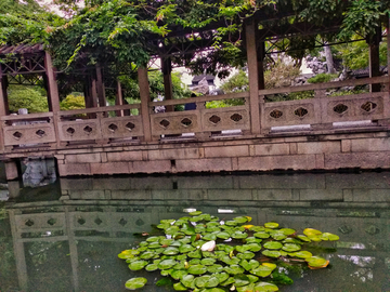 苏州狮子林风景