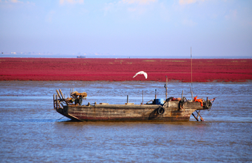 红海滩渔船