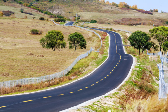 蜿蜒起伏的草原公路