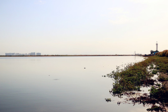 美丽的青格达湖