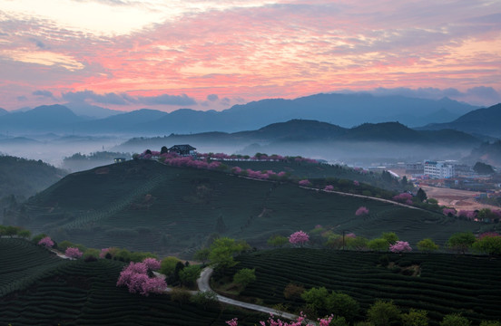 永福樱花园