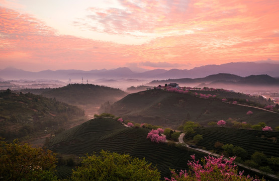 永福樱花园