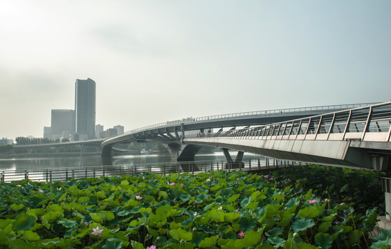 太原汾河风光