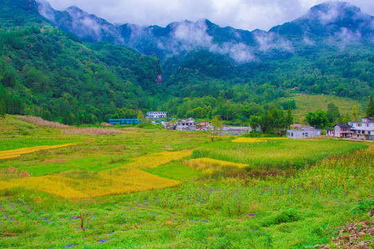 田园风光