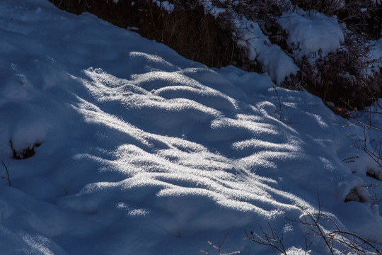 雪地