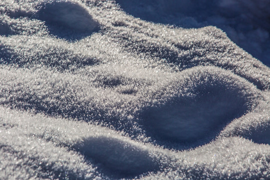 雪地