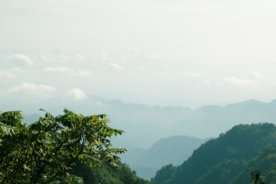 遠山