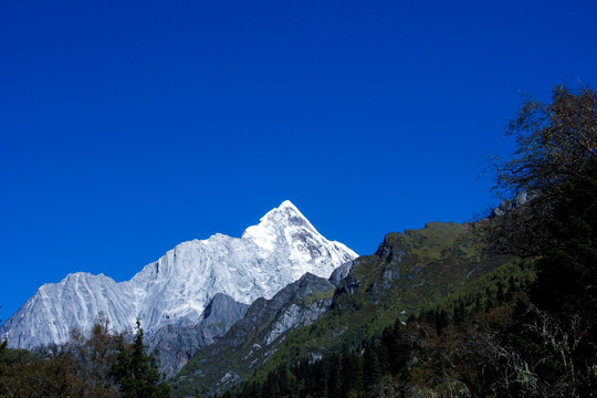 四姑娘山幺妹峰