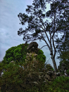 苏州园林风景