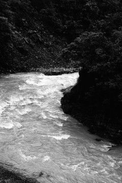 黑白高山流水