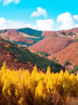 五花山