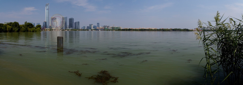 金鸡湖全景图