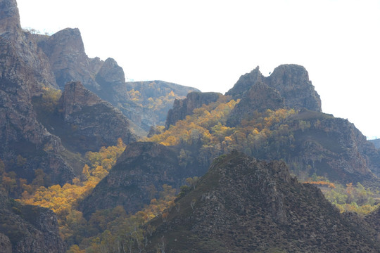 大青山