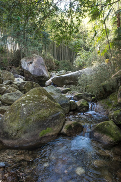 宜春南惹古村