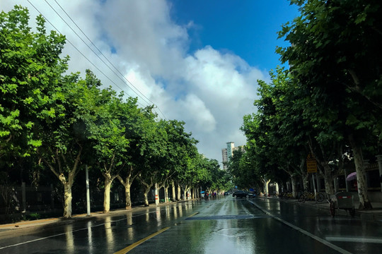 雨后天晴