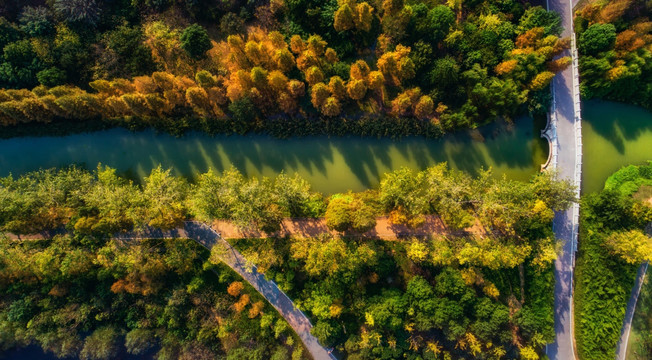 长沙洋湖湿地公园