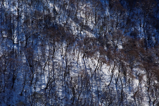 雪山