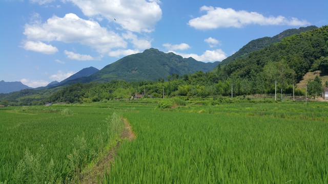 安徽川藏线沿途风光