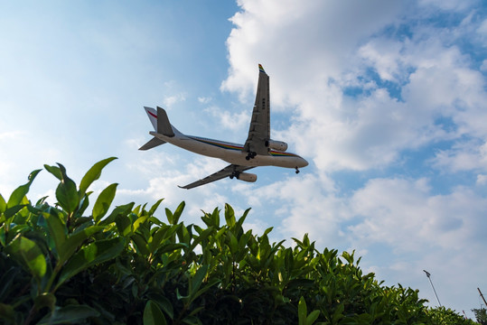 西藏航空客机