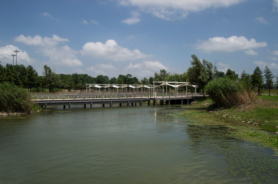 高淳固城湖公园风景