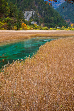 九寨沟海子湿地