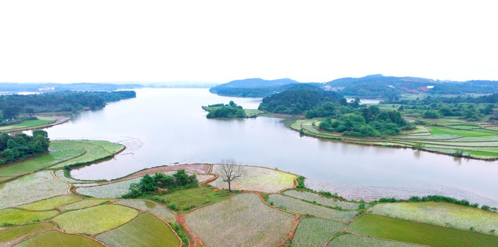 官溪水库田园风光稻田溪流群山