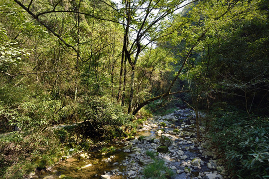 五峰白岩圈景区