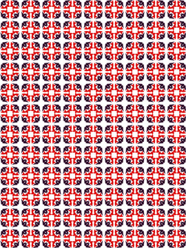 巢