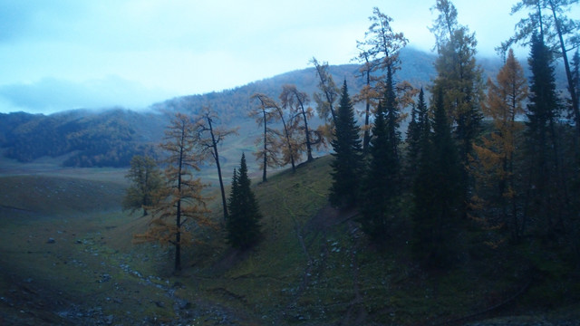 喀纳斯阿勒泰山区风光