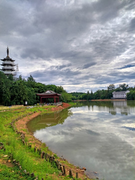 金华中国茶花文化园状元红湖
