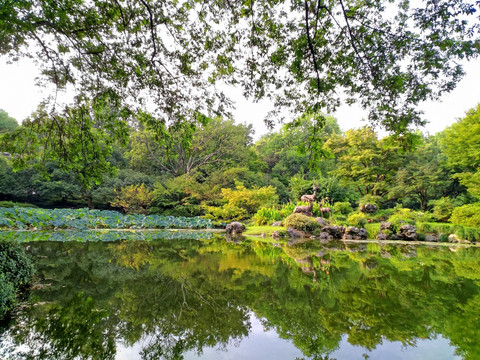 杭州植物园山水园鱼池
