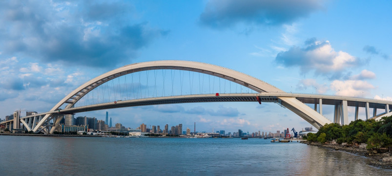 卢浦大桥全景图