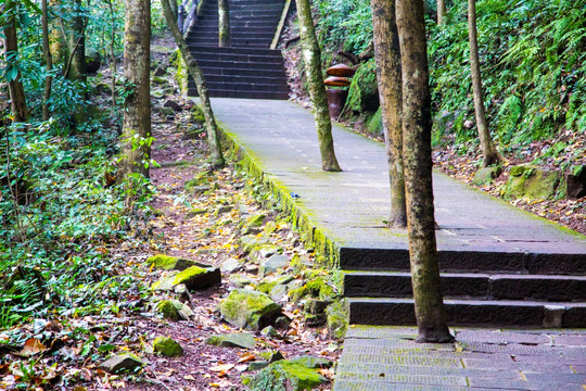 张家界武陵源天子山