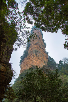 张家界武陵源天子山